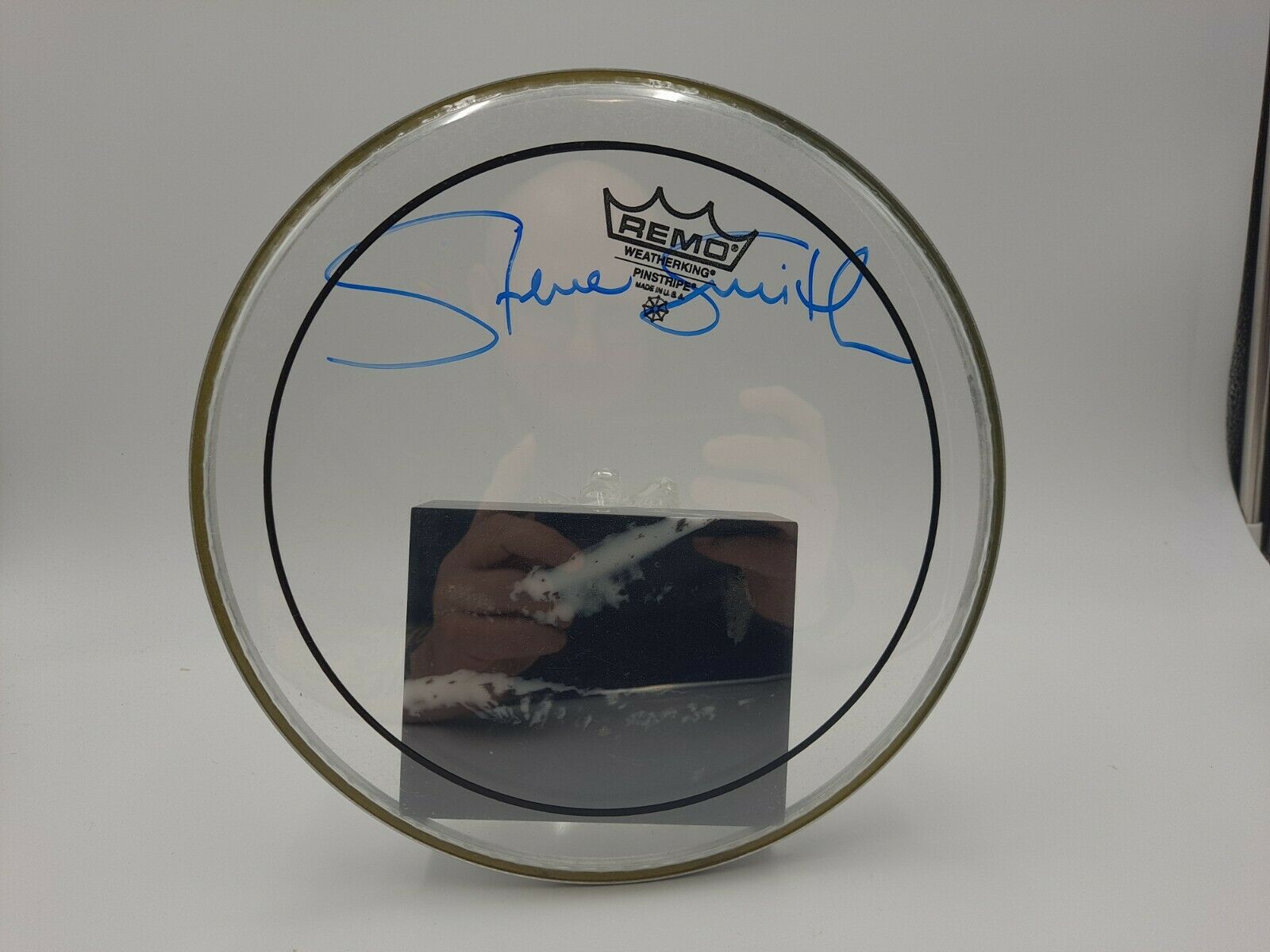 Steve Smith Drummer Of Journey Signed 10" Remo Drum Head