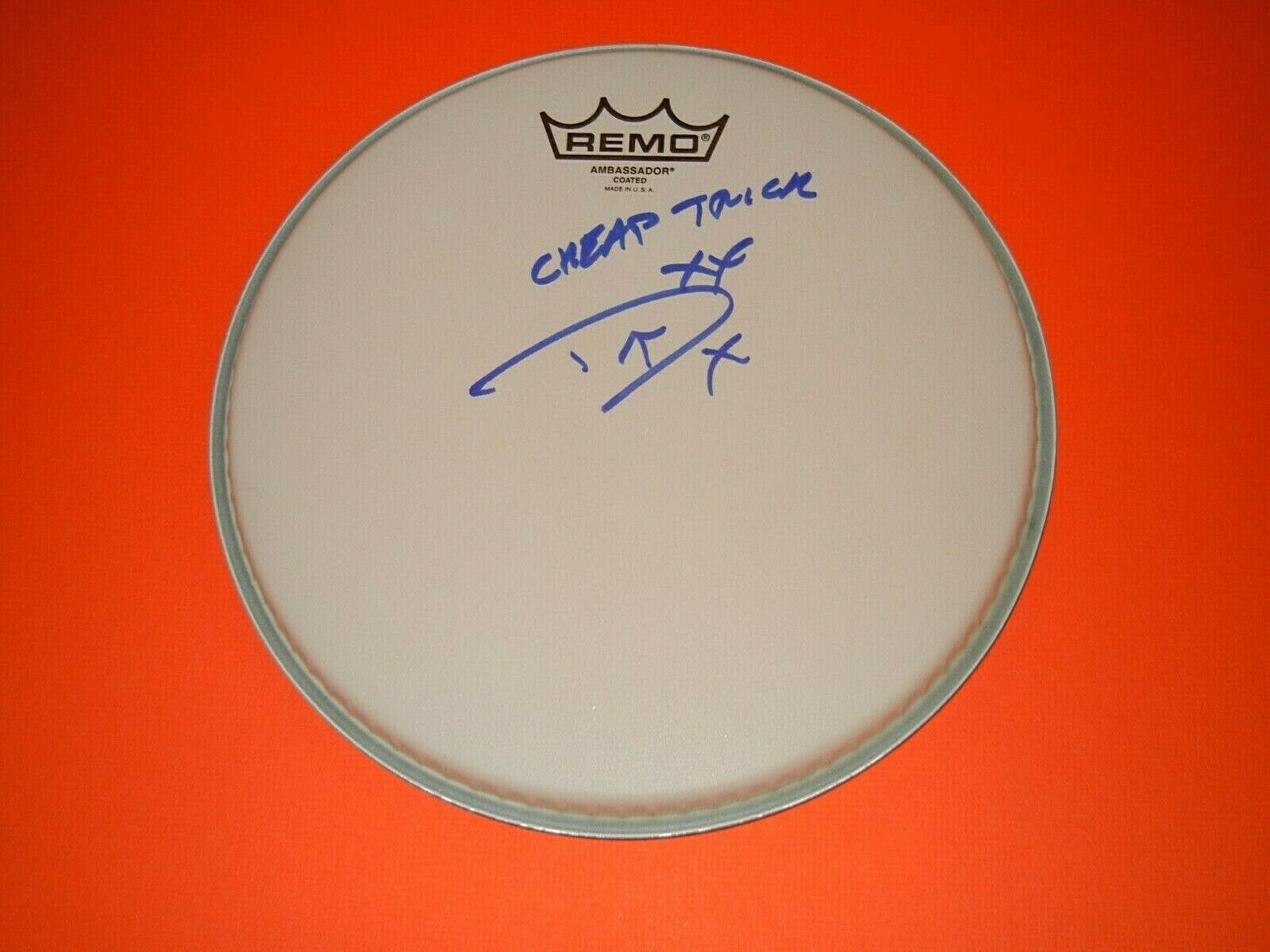 Daxx Nielson Drummer "cheap Trick" Signed Drumhead Coa
