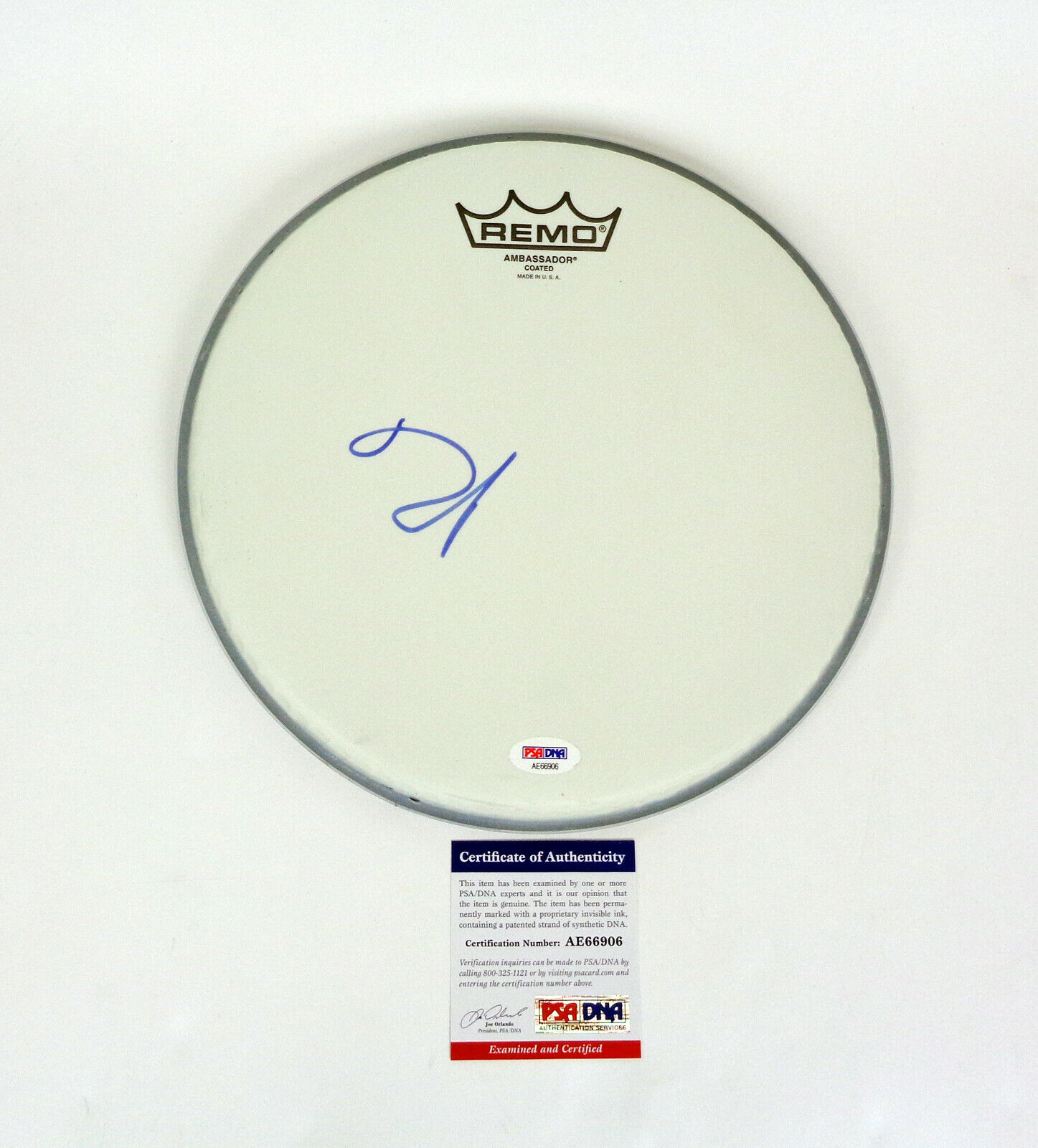 Dave Grohl Nirvana Foo Fighters Signed Autograph Drumhead Drum Head Psa/dna Coa